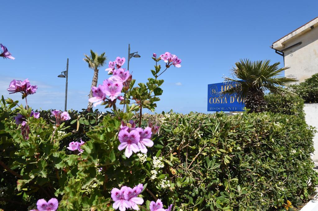 Hotel Costa D'Oro Santa Maria di Castellabate Exterior photo